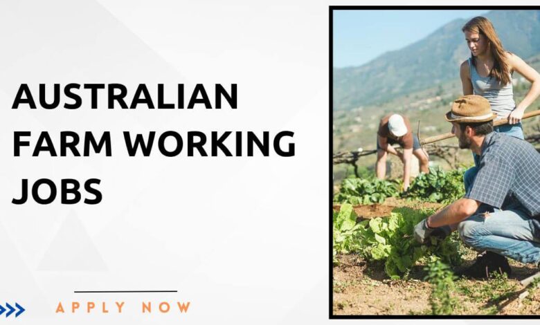 Australian Farm Working Visa Sponsorship Jobs 2024 (Apply Now) - Australian Agriculture Sector