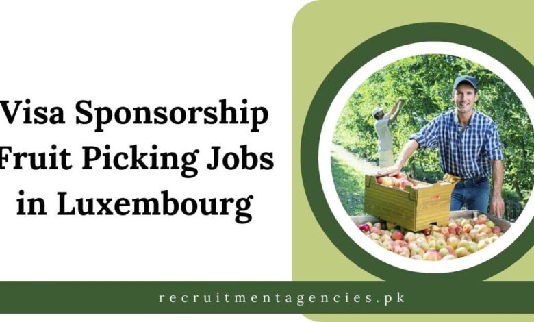 Visa Sponsorship Fruit Picking Jobs in Luxembourg